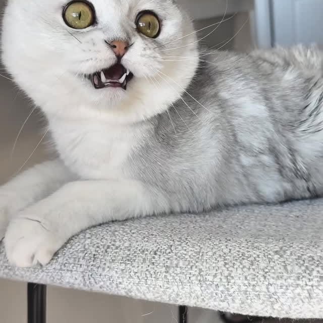  ......kekkek   'recent posts' 