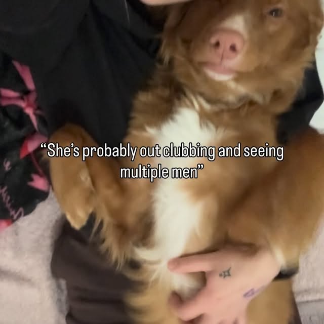  ......atoller   'recent posts' 