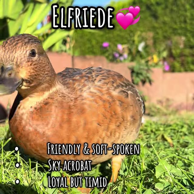  ........ckstatue   'recent posts' 