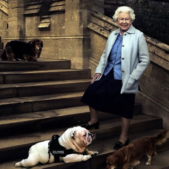  ......rwhite   'recent posts' 