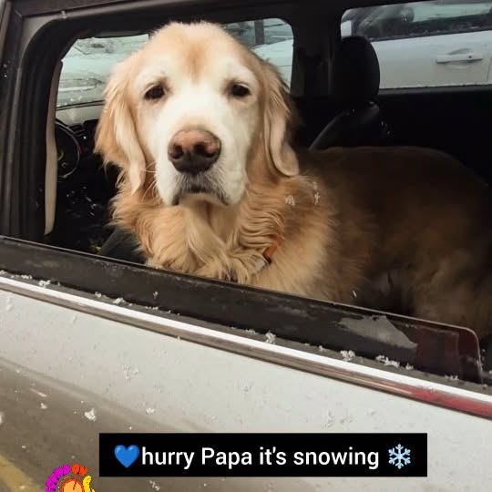  ..ps   'recent posts' 