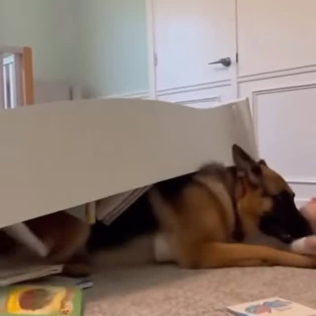  ....t.exe   'recent posts' 