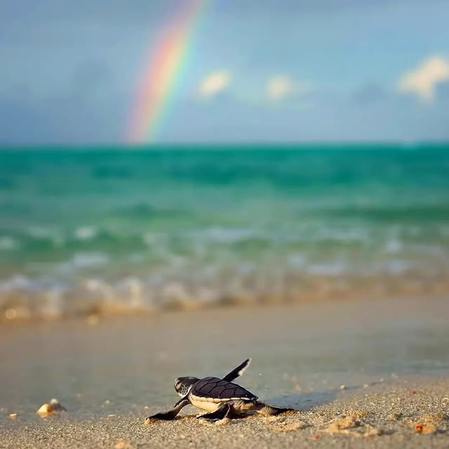  ......fervor   'recent posts' 