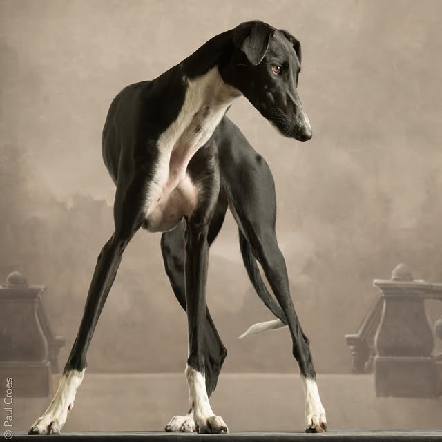  ..........hotography   'recent posts' 