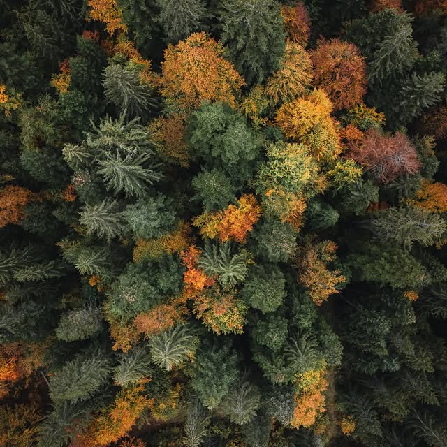  .......avelbook   'recent posts' 