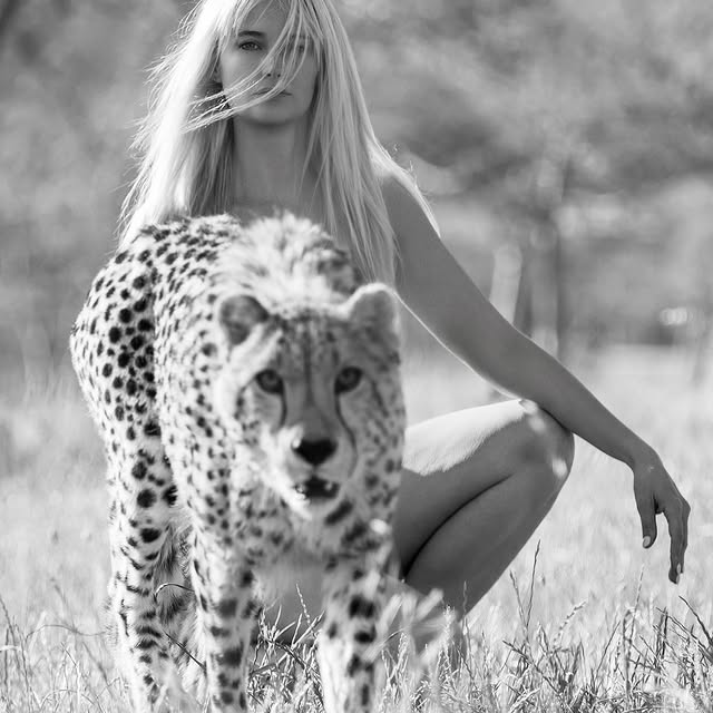  .......vemorton   'recent posts' 