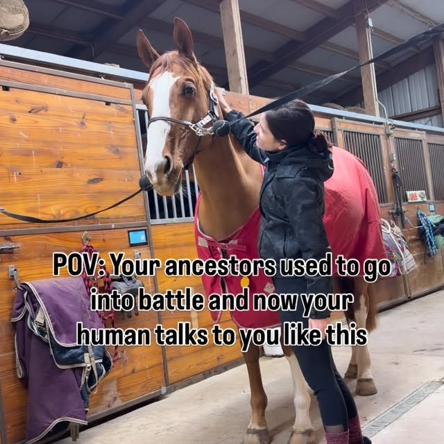  .....hulse   'recent posts' 