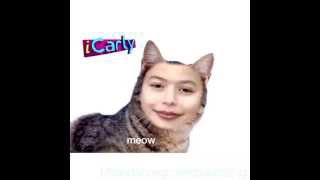  ...........rovesBoobs2  'recent videos' 