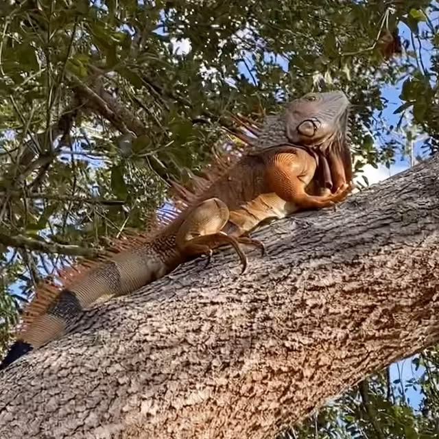  ........sfishing   'recent posts' 