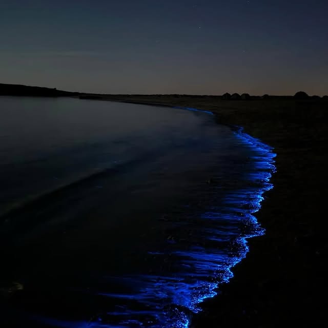  .......refervor   'recent posts' 