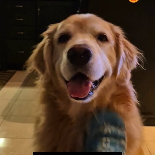  ..ps   'recent posts' 