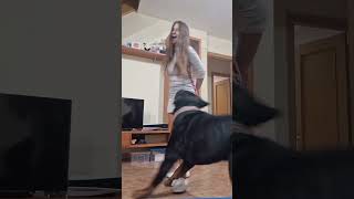  .......ler Life  'recent videos' 