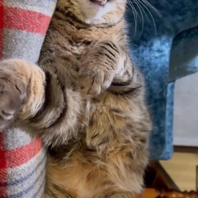  ......kekkek   'recent posts' 