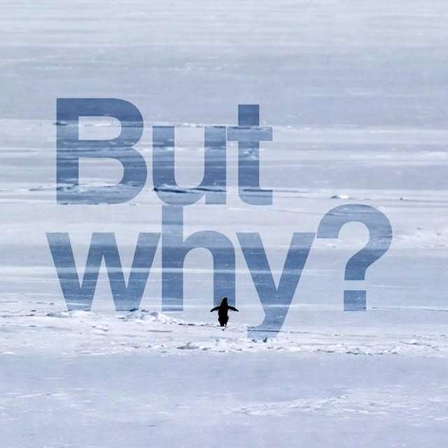  ....vibz   'recent posts' 