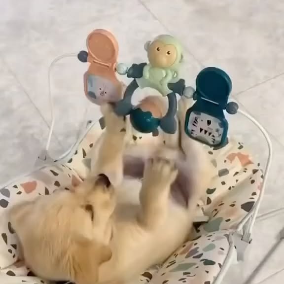  ........rcuteness   'recent posts' 