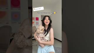  ...FISH  'recent videos' 