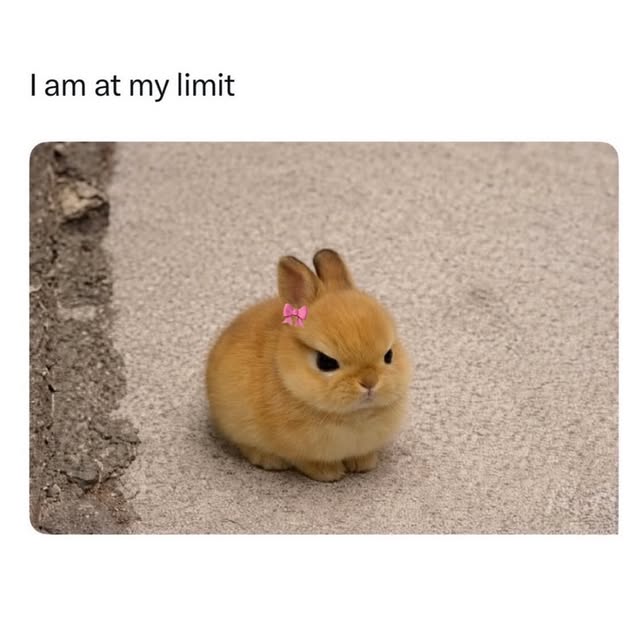  ..rl   'recent posts' 