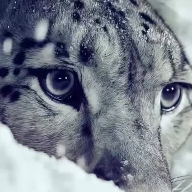  .....ature   'recent posts' 