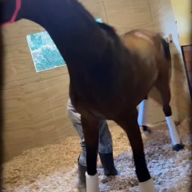  .....hulse   'recent posts' 