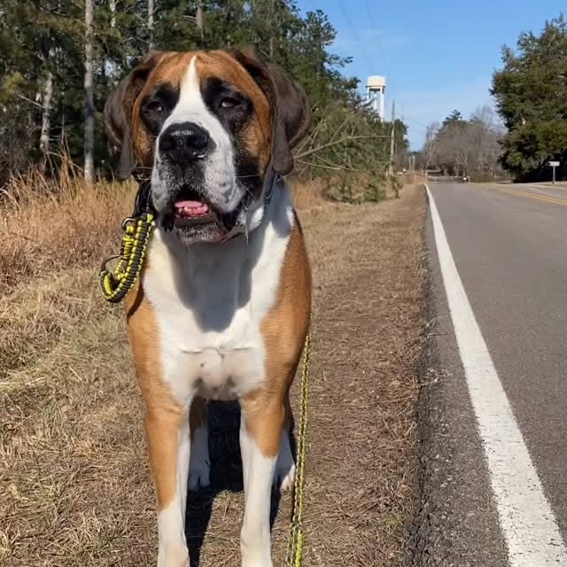  .........intbernard   'recent posts' 