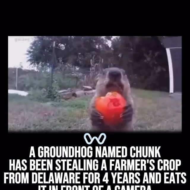  ........alth_club   'recent posts' 