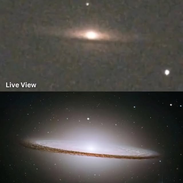  ......seviewz   'recent posts' 