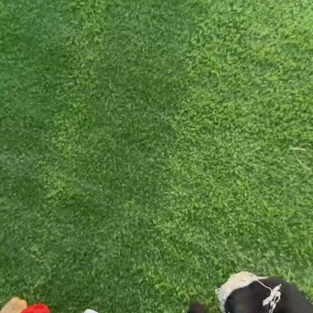  ..........hronicle168   'recent posts' 