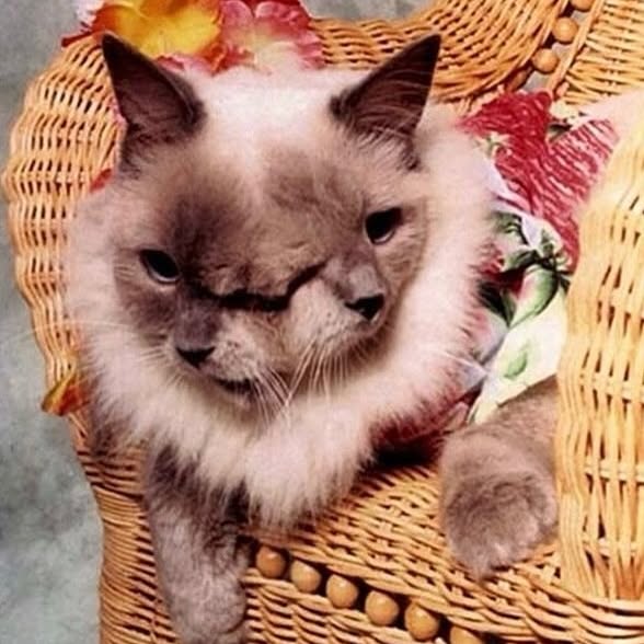  .....gangg   'recent posts' 