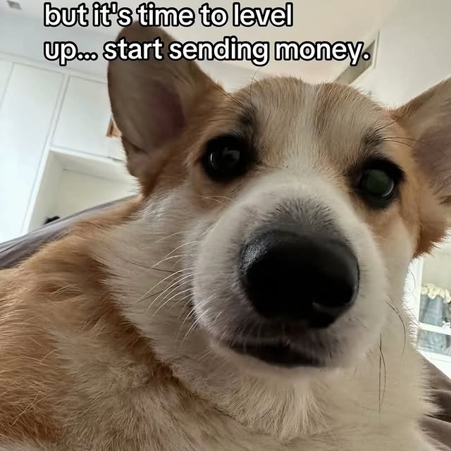  ........ucketlist   'recent posts' 