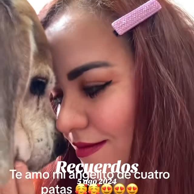  ....omero   'recent posts' 