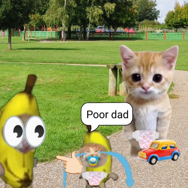  ......anacat   'recent posts' 