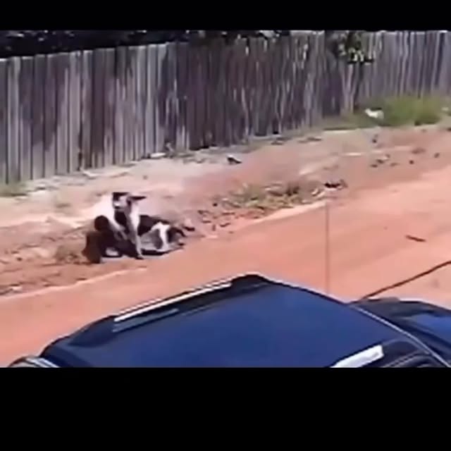  .....ove.co   'recent posts' 