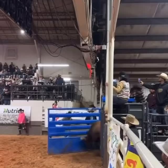  ......khabits   'recent posts' 