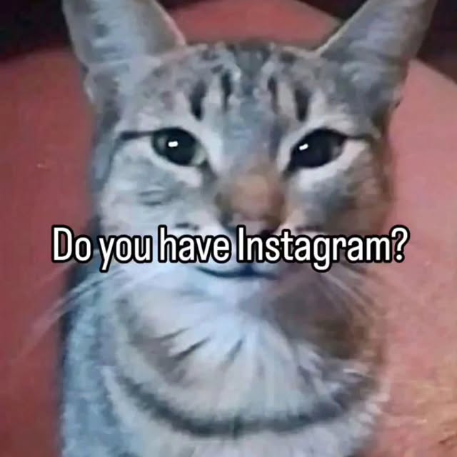  ......nd.kits   'recent posts' 