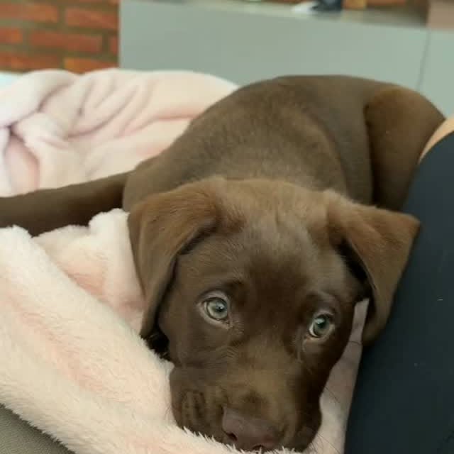  ....ofk9   'recent posts' 