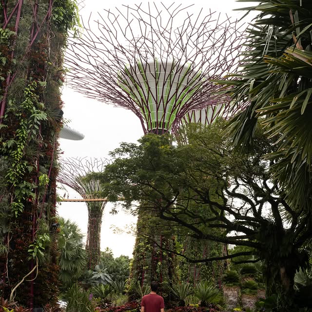  ......lacarte   'recent posts' 