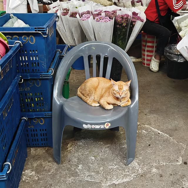  .....uslong   'recent posts' 