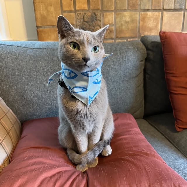  ......n_boris   'recent posts' 