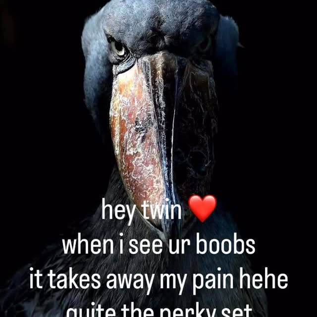  ..........rdoftheday   'recent posts' 