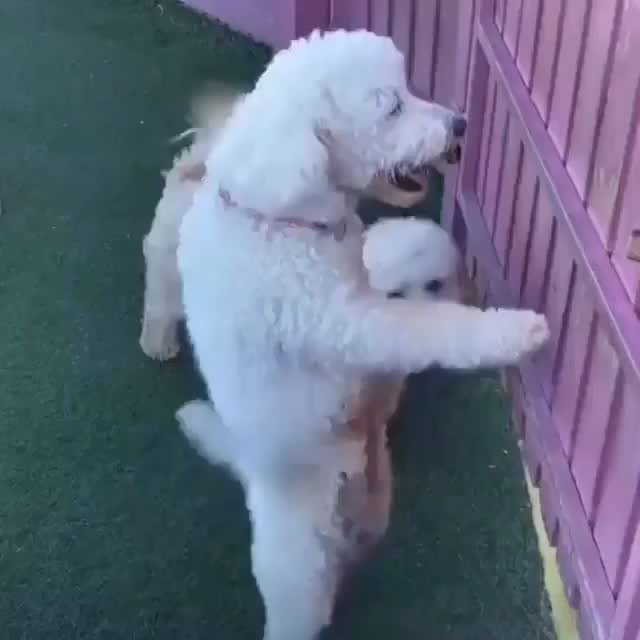  ......orable   'recent posts' 