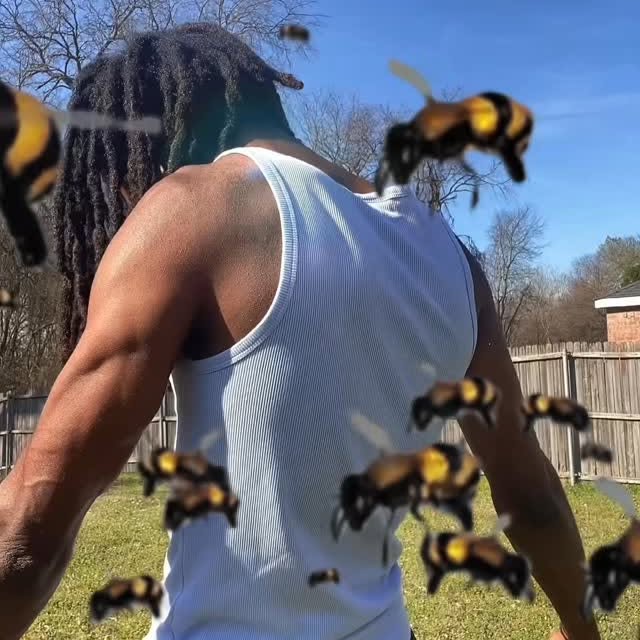  .....harlie   'recent posts' 