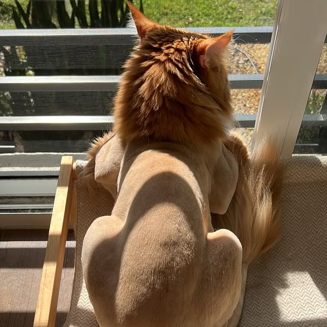  ......adamus   'recent posts' 