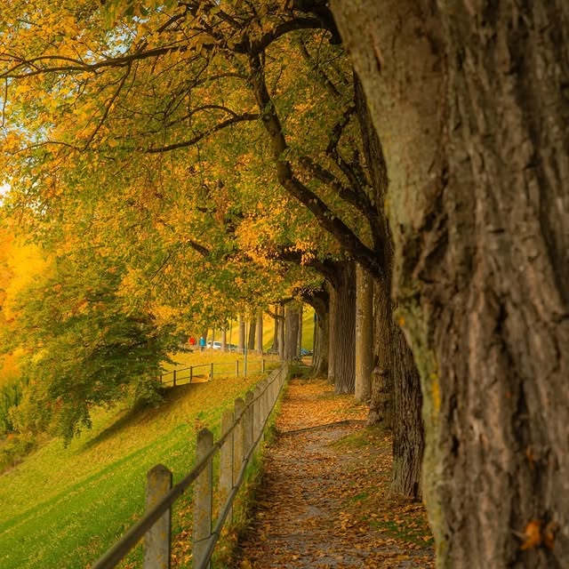  ..........discoverer   'recent posts' 