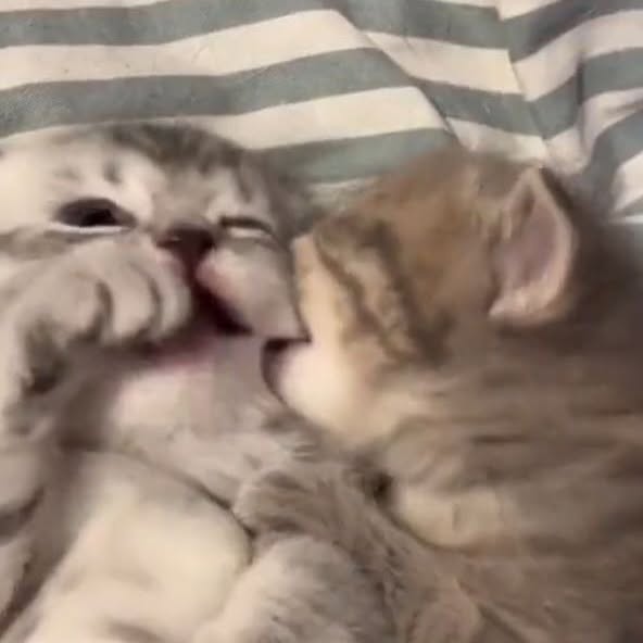  .......world.in   'recent posts' 