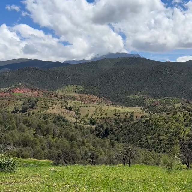  .....ature   'recent posts' 