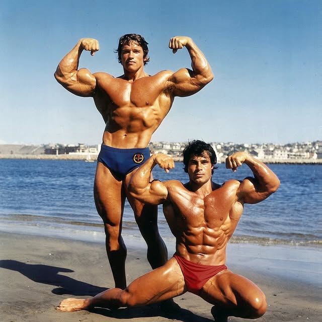  .......arepics   'recent posts' 