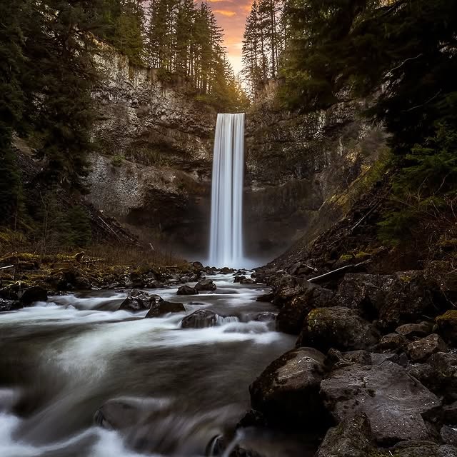  .......utevibes   'recent posts' 