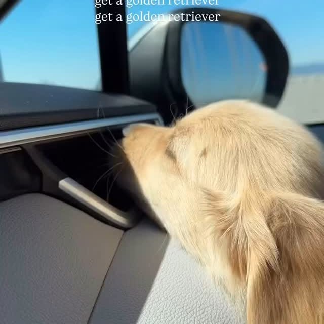  ..........ieverworldo   'recent posts' 