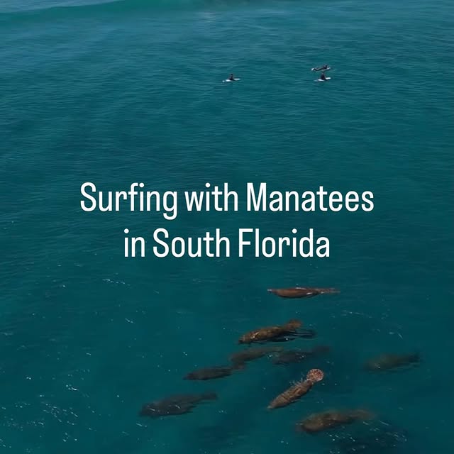  .....lorida   'recent posts' 