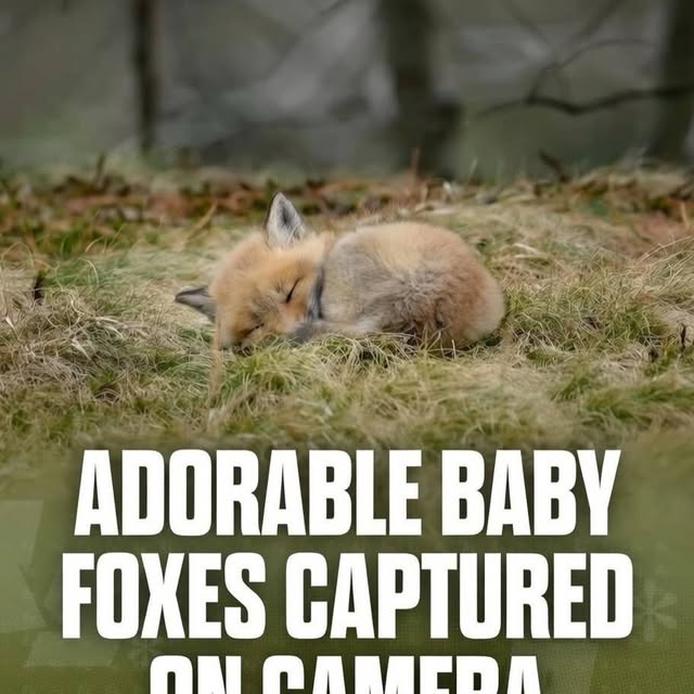  ......ravels   'recent posts' 